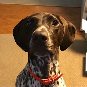 Meet your Posher, Mel